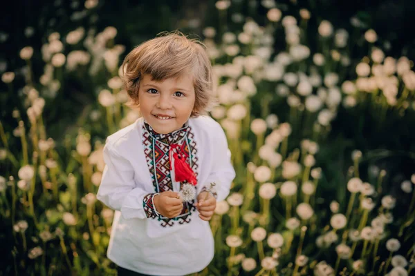 Piękny portret małego ukraińskiego chłopca w ogrodzie mniszek lekarskich. Dziecko w tradycyjnym hafcie vyshyvanka koszuli. Ukraina, strój narodowy, zwycięstwo w wojnie, szczęśliwe dzieciństwo i koncepcja przyszłości — Zdjęcie stockowe