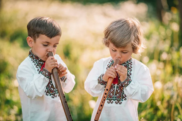 Los hermanos pequeños los muchachos que juegan a la flauta de madera de viento - ucraniano sopilka al aire libre. Concepto de música popular. Instrumento musical. Los niños en las camisas tradicionales bordadas - vyshyvanka. — Foto de Stock