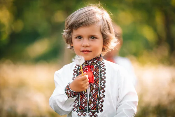 Portrait of little ukrainian boy with dandelion in spring garden. Child in traditional embroidery vyshyvanka shirt. Ukraine, freedom, national costume, happy childhood and future concept — Stock Photo, Image