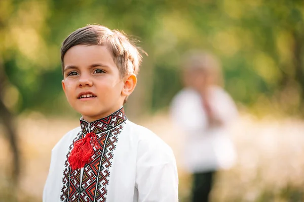 Aranyos portré egy ukrán kisfiúról a tavaszi kertben. Gyermek hagyományos hímzéses vyshyvanka ingben. Ukrajna, szabadság, nemzeti jelmez, győzelem a háborúban, boldog gyermekkor és a jövő koncepciója, — Stock Fotó