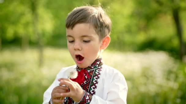 Pequeño chico ucraniano soplando sobre diente de león en el jardín de primavera. Niño en la camisa de vyshyvanka bordado tradicional. Ucrania, la libertad, traje nacional, la infancia feliz y el concepto de futuro — Vídeo de stock