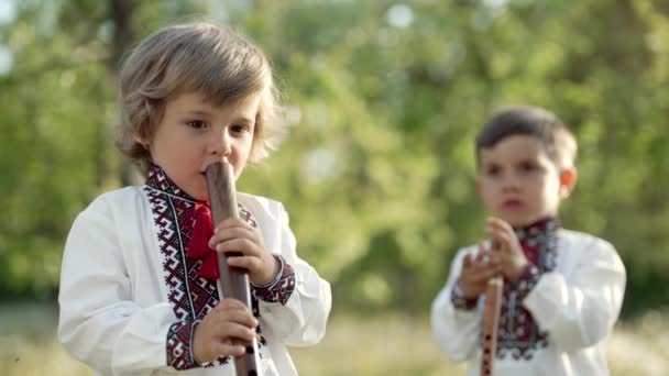 Kis testvérek fiúk játszanak fafúvós fuvola - ukrán sopilka szabadban. Népzenei koncepció. Hangszer. Hagyományos hímzett inges gyerekek - vyshyvanka. — Stock videók