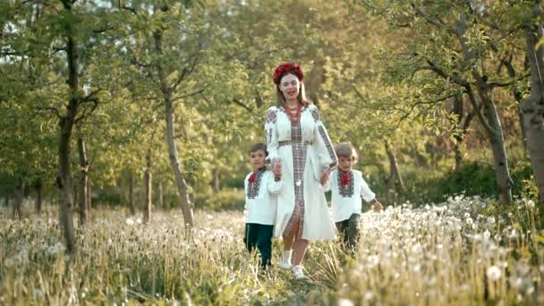 Little boys with mother walking in dandelions between apple trees. Ukrainian family in vyshyvanka, brothers and mom explores world. Twins, Ukraine style, love, childhood concept — Stock Video
