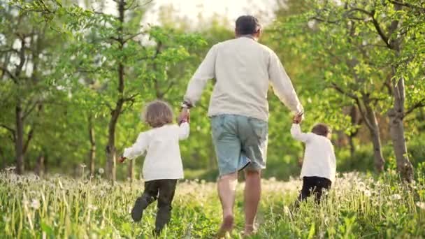 Niños pequeños con papá corriendo en dientes de león entre manzanos. Familia ucraniana en vyshyvanka, hermanos y padre explora el mundo. Gemelos, Ucrania estilo, amor, concepto de la infancia — Vídeo de stock