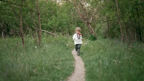 Küçük Ukraynalı çocuk ormanda ya da parkta neşeyle yol boyunca koşuyor. Geleneksel nakış işlemeli vyshyvanka tişörtlü çocuk. Ukrayna, özgürlük, ulusal kostüm, vatansever — Stok video