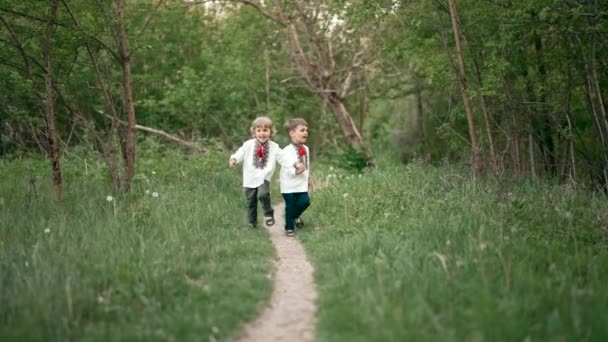 Kleine Oekraïense jongens lopen vrolijk langs het pad op het grasveld of in het park. Kinderen samen in traditionele borduurwerk vyshyvanka shirts. Oekraïne, broeders, vrijheid, nationaal kostuum, patriotten. — Stockvideo