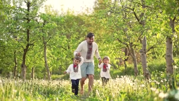 Jongetjes met papa in paardebloemen tussen appelbomen. Oekraïense familie in vyshyvanka, broers en vader verkent de wereld. Tweeling, Oekraïne stijl, liefde, kindertijd concept — Stockvideo