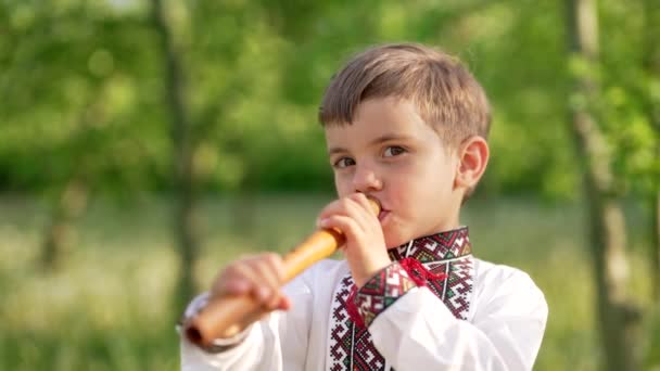 Menino adorável que joga na flauta de madeira de vento de madeira - sopilka ucraniano. Conceito de música popular. Instrumento musical. Criança em camisa bordada tradicional - Vyshyvanka. — Vídeo de Stock