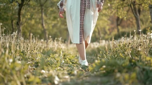 Mujer caminando en vestido blanco midi y zapatillas deportivas. Dama ucraniana en el césped de diente de león en el jardín de manzana. Fondo de naturaleza. — Vídeo de stock