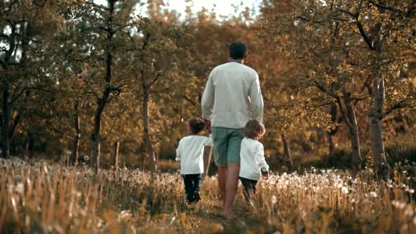 Niños pequeños con papá caminando en dientes de león entre manzanos. Familia ucraniana en vyshyvanka, hermanos y padre explora el mundo. Gemelos, Ucrania estilo, amor, concepto de la infancia — Vídeo de stock