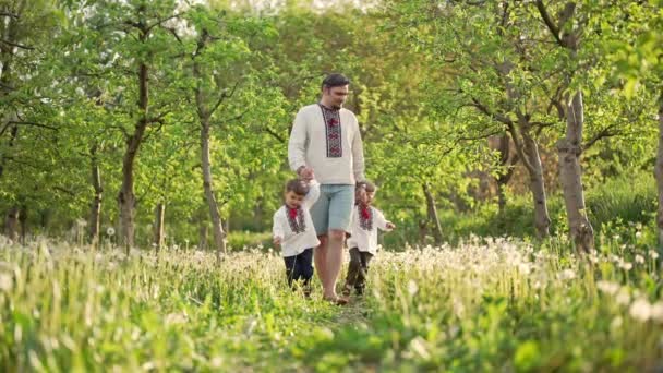 Mali chłopcy z tatą chodzący w mniszkach między jabłoniami. Ukraińska rodzina w vyshyvanka, bracia i ojciec bada świat. Bliźniaki, styl ukraiński, miłość, koncepcja dzieciństwa — Wideo stockowe