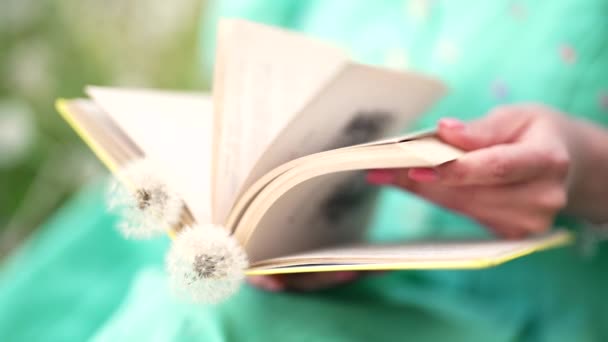 Жінка Перевертає Сторінки Старої Паперової Книги Дама Ретро Або Вінтажній — стокове відео