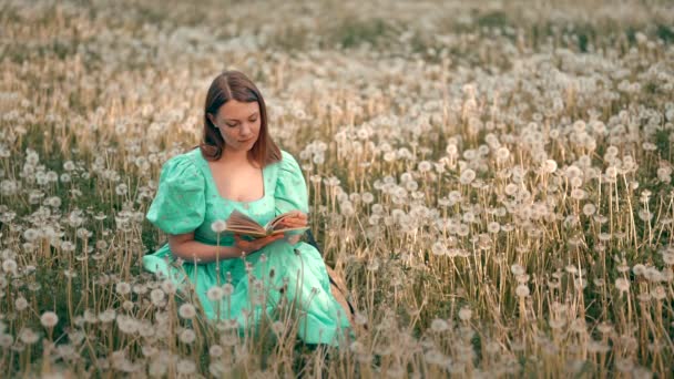 민들레 책읽는 사진찍기 의상을 여인은 소설을 읽는다 High — 비디오