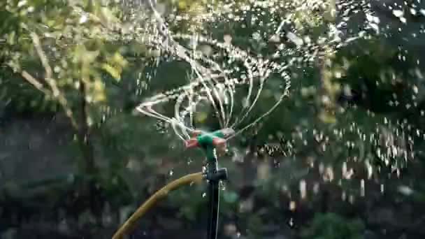 日没時に自動芝生散水スプリンクラー灌漑施設 花や木に水を吹きかける スマートガーデンケアと園芸の概念 高品質4K映像 — ストック動画