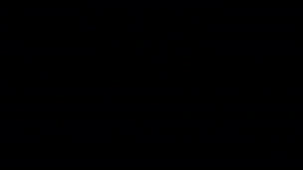 Beroemde Kat Ronde Oogkledij Zwarte Achtergrond Knipperend Paparazzi Licht Glamour — Stockvideo