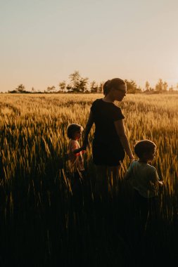 Genç bir anne ve iki oğlu altın saat boyunca taze buğday tarlasında. Mutlu aile, güzel siluet portre. Yüksek kalite fotoğraf