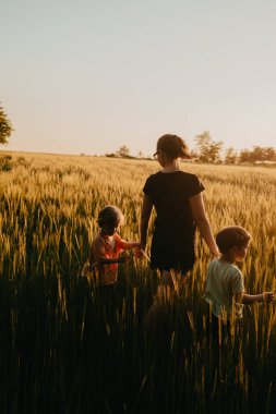 Genç bir anne ve iki oğlu altın saat boyunca taze buğday tarlasında. Mutlu aile, güzel siluet portre. Yüksek kalite fotoğraf