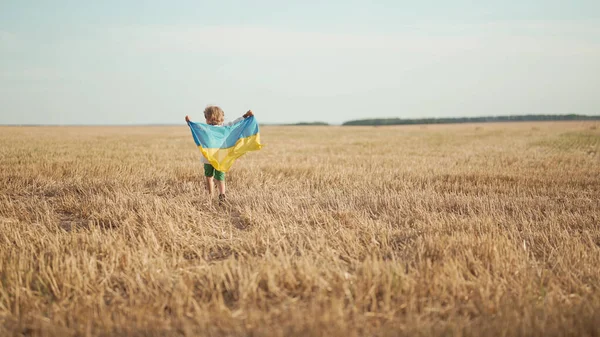 Щасливе Маленьке Хлопчисько Українське Патріотичне Дитя Біжить Національним Прапором Полі — стокове фото