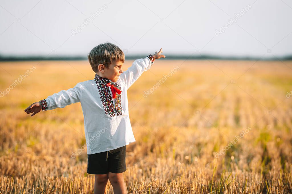 Happy little boy - Ukrainian patriot child with open arms as airplane in field after collection wheat, open area. Ukraine, peace, independence, freedom, win in war. Copy space. High quality photo