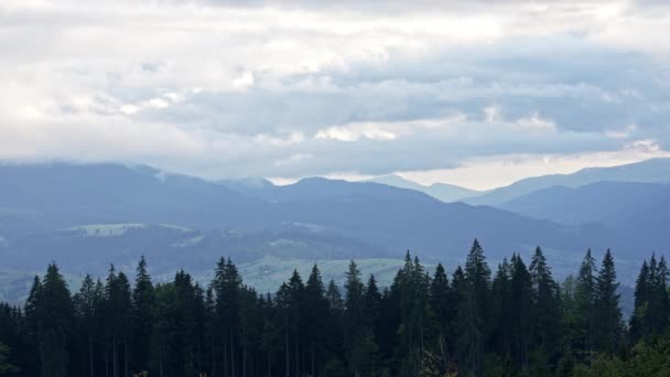 厚い霞の下Yablunytsyaパスの山 霧の初秋の朝 穏やかな背景 リラクゼーション ウクライナの美しさ 自然コンセプト フォギー カルパティアはトウヒの木で覆われている 4K映像 — ストック動画