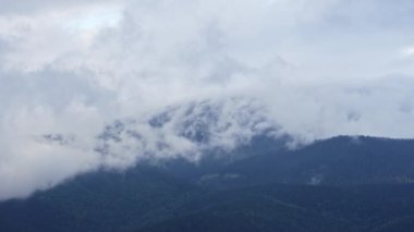 Yablunytsya Dağları yoğun sis altında. Sisli sonbahar sabahı, sakin arka plan, rahatlama, Ukrayna 'nın güzelliği, doğa konsepti. Sisli Karpatlar ladin ağaçlarıyla kaplıdır. 4k görüntü