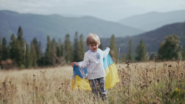 素敵な男の子 カルパチア山脈 オープンエリアの牧草地に国旗を持つウクライナの愛国者の子供 ウクライナ 戦争に勝つ 高品質4K映像 — ストック動画