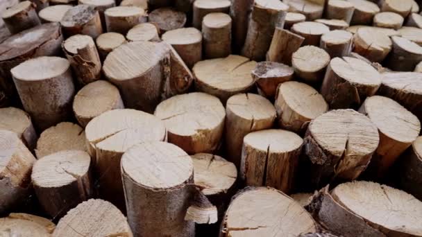 Logs Chopped Stacked Firewood Stacks Fuel Heating Fireplaces Furnaces Woodpile — Stock Video