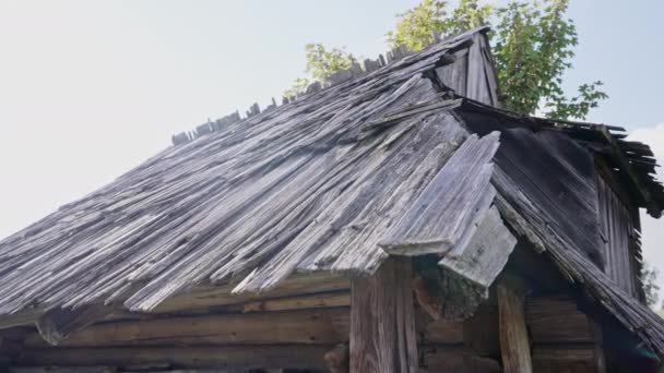 Starý Dřevěný Domek Louce Karpat Autentické Ekologické Bydlení Ovčáka Stádě — Stock video