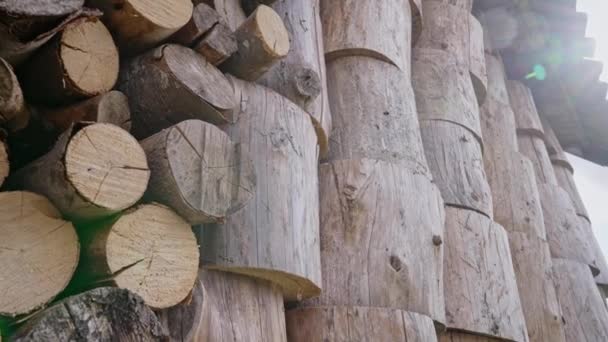 Baumstämme Aus Gehäckselten Und Gestapelten Brennholzstapeln Brennstoff Zum Heizen Kaminen — Stockvideo