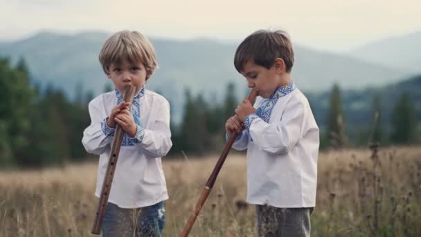 小男孩们在木管乐器长笛上演奏 在喀尔巴阡山脉的草地上演奏着乌克兰的女高音 二重唱民乐的概念 穿着传统绣花衬衫的孩子 是的高质量的4K镜头 — 图库视频影像