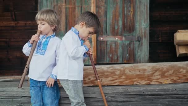Mali Chłopcy Grający Drewnianych Fletach Ukraińskiej Sopilce Koncepcja Duetu Muzyki — Wideo stockowe
