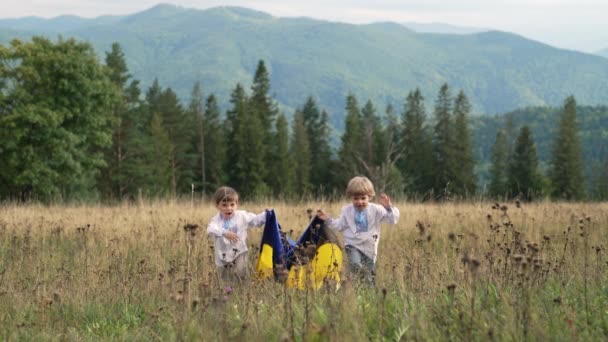快乐的小男孩 带着国旗在喀尔巴阡山草地上奔跑的乌克兰爱国者儿童 乌克兰 兄弟双胞胎 最好的朋友 赢得战争 — 图库视频影像