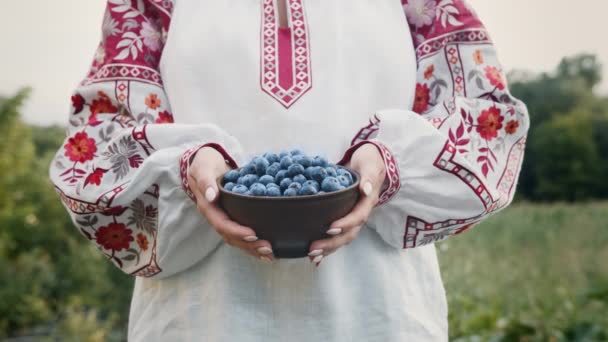 Mujer Blusa Bordada Tradicional Ucraniana Con Arándanos Fondo Del Jardín — Vídeo de stock
