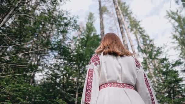 Vista Posterior Mujer Ucraniana Encuentra Bosque Abeto Naturaleza Montañas Los — Vídeo de stock