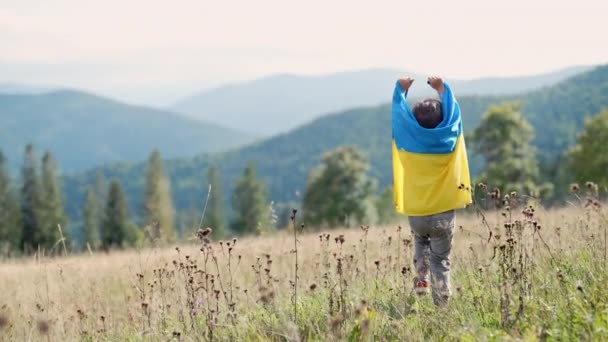 快乐的小男孩 乌克兰爱国者孩子 在喀尔巴阡山的草地上高举国旗奔跑 开阔地 乌克兰 赢得了战争 高质量的4K镜头 — 图库视频影像