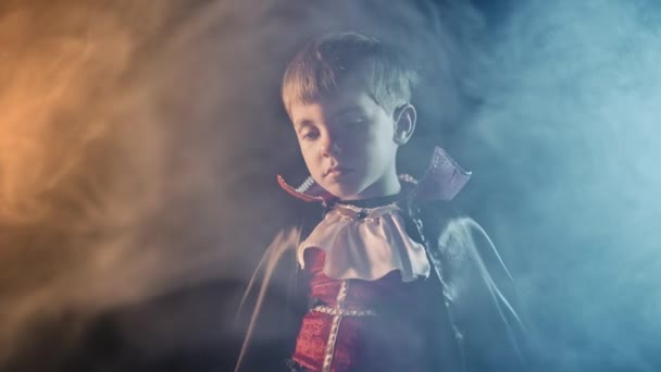 Retrato Menino Traje Dracula Vampiro Fundo Colorido Fumegante Halloween Truque — Vídeo de Stock