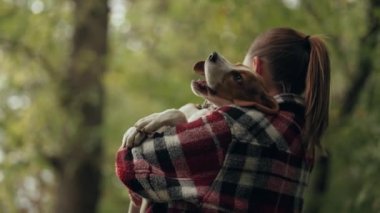 Güzel sonbahar tarlasında sahibi olan küçük köpek yavrusu. Doğada köpeğe sarılan bir kadın. Sevimli bir hayvan, ailenin yeni üyesi. Yüksek kalite 4k görüntü