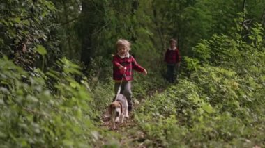 Yeşil Park 'ta köpek yavrusunu gezdiren küçük mutlu çocuk. Tasmalı köpek öne doğru koşar ve çocuğu çeker. Mutlu zaman, çocukluk, sevimli evcil hayvan, ailenin yeni üyesi. Yüksek kalite 4k görüntü