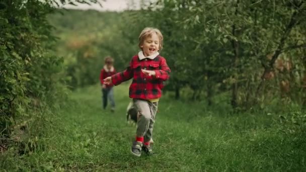 Bambini Felici Che Corrono Insieme Cucciolo Beagle Nel Giardino Verde — Video Stock