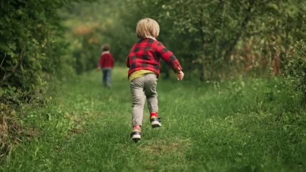 快乐的孩子们和小猎犬一起在绿色的花园里奔跑 笑着的兄弟们 时髦的男孩们与狗玩耍 在户外玩耍 双胞胎 童年的概念 高4K镜头 — 图库视频影像