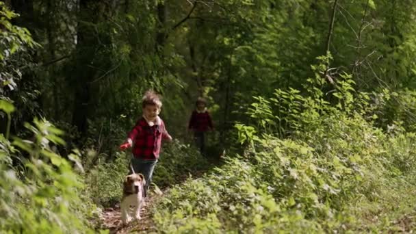 Щасливий Маленький Хлопчик Гуляє Цуценям Зеленому Парку Собака Повідку Біжить — стокове відео