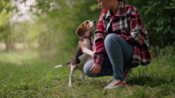 Навчання Маленького Бігль Цуценя Жінка Собакою Фоні Природи Щасливий Милий — стокове відео