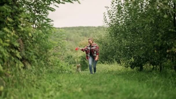 Mujer Corriendo Con Perrito Beagle Hermoso Jardín Verde Dueño Mantiene — Vídeo de stock