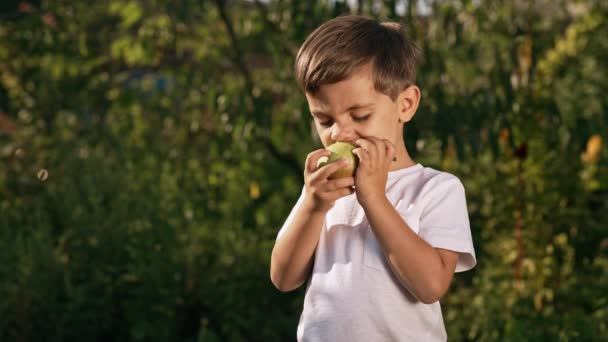 可爱的小男孩在绿色的花园里吃梨子 快乐的童年 健康的饮食 维生素 高质量的4K镜头 — 图库视频影像