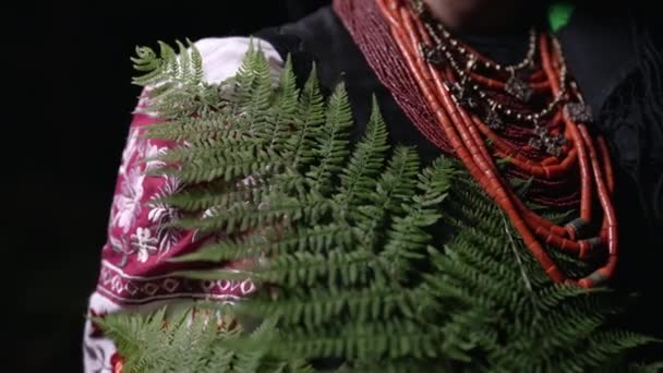 Mulher Autêntica Tradicional Colar Ucraniano Traje Com Samambaia Floresta Noite — Vídeo de Stock
