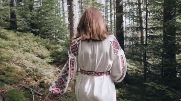 回头看乌克兰人妇女走在杉树林里 喀尔巴阡山脉的大自然 穿着传统绣花Vyshyvanka衣服的女孩 乌克兰 民族服装 高质量的4K镜头 — 图库视频影像