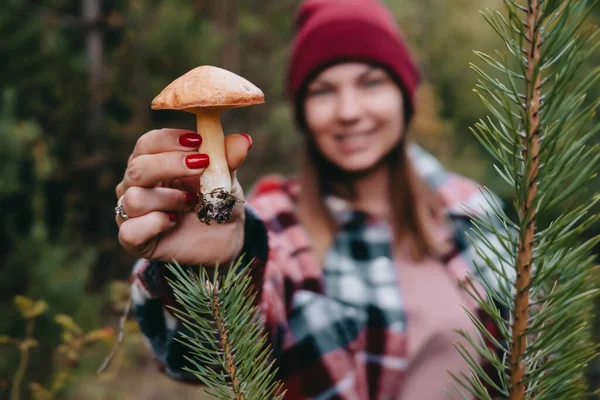 Woman holding slippery Jack Fungi, Suillus luteus on autumn forest background with pine needles, close-up view. Harvest mushroom concept. High quality photo