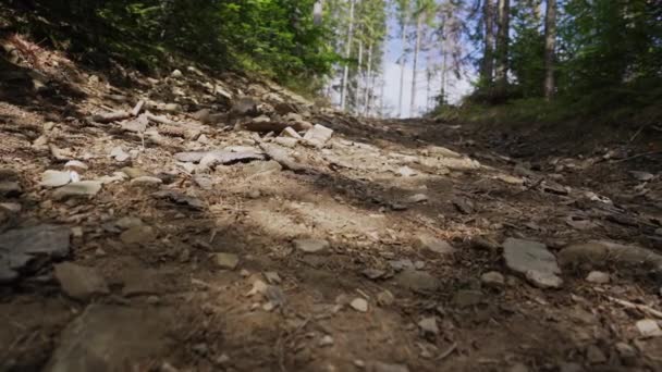 Carretera Tierra Pesada Escalada Alta Montaña Los Cárpatos Imágenes Naturaleza — Vídeo de stock