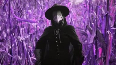 Veba doktoru gotik kadın menekşe rengi çalılıklarda dans ediyor. Ürkütücü kuzgun maskesi, cadılar bayramı, tarihi korkunç koruma kostümü, mim dansı konsepti. Yüksek kalite 4k görüntü