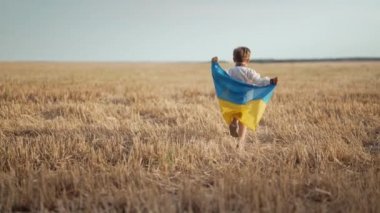 Küçük mutlu çocuk, Ukraynalı vatansever çocuk elinde ulusal bayrağıyla buğday topluyor, açık alanda. Ukrayna, barış, bağımsızlık, özgürlük, savaşta kazanmak. Yüksek kalite 4k görüntü